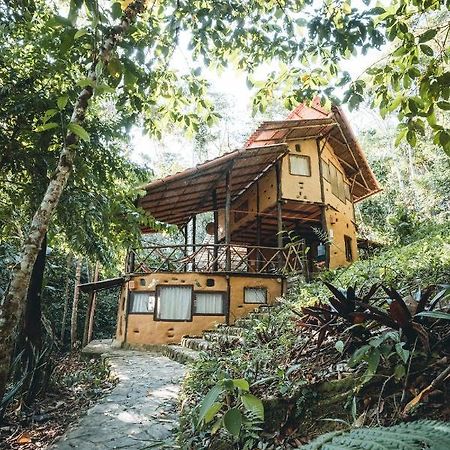 Chirapa Manta Amazon Lodge Lamas Екстериор снимка
