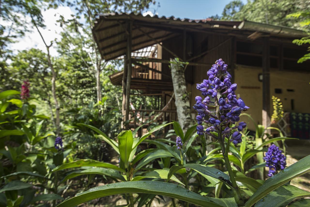 Chirapa Manta Amazon Lodge Lamas Екстериор снимка