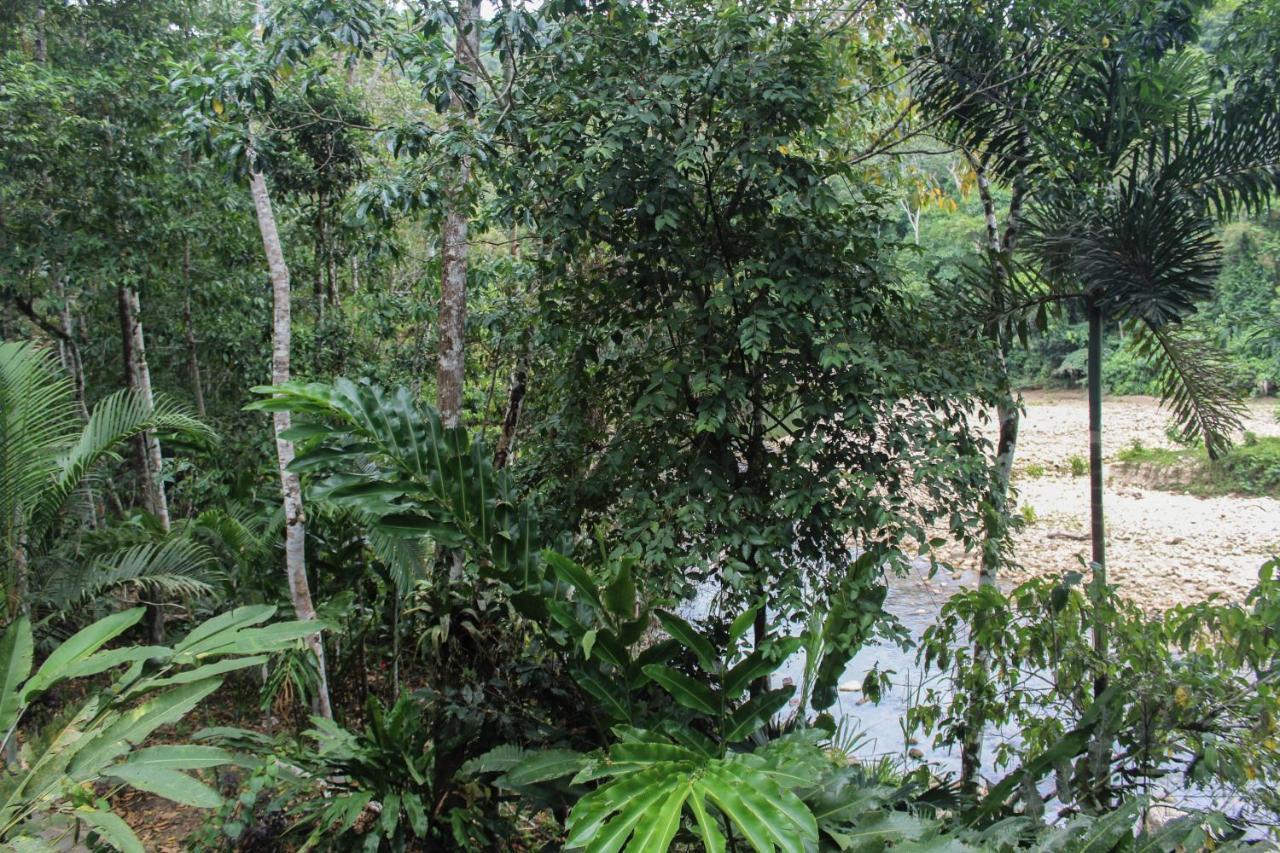 Chirapa Manta Amazon Lodge Lamas Екстериор снимка