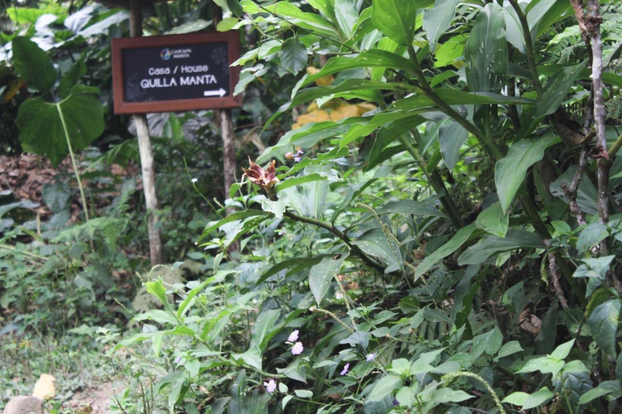Chirapa Manta Amazon Lodge Lamas Екстериор снимка
